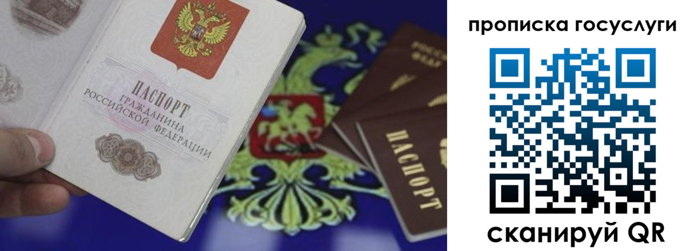 прописка для школы в Владимире
